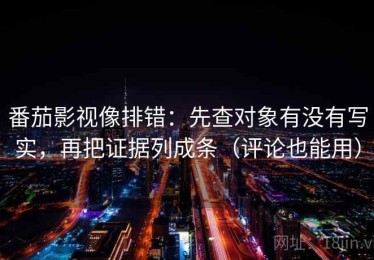 番茄影视像排错：先查对象有没有写实，再把证据列成条（评论也能用）
