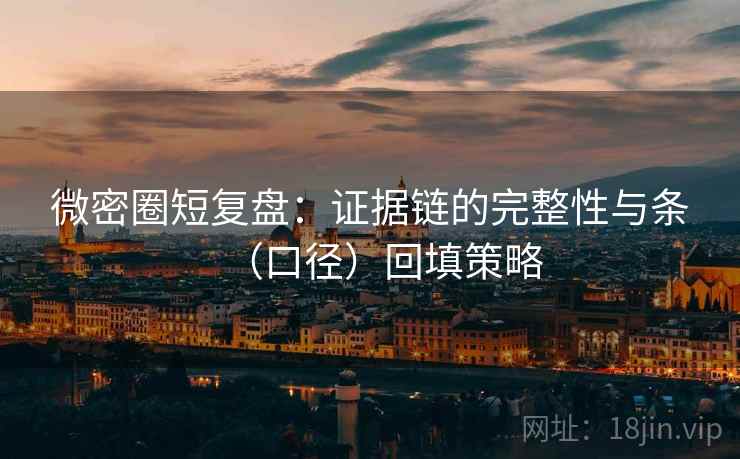 微密圈短复盘:证据链的完整性与条(口径)回填策略 微密圈短复盘:证据链的完整性与条(口径)回填策略